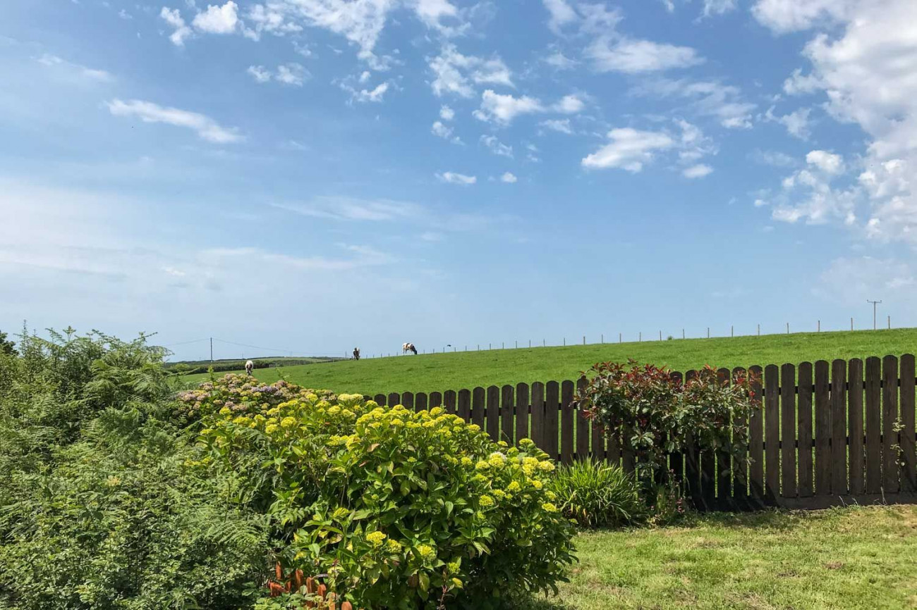 ks-s-1300x900-189647898